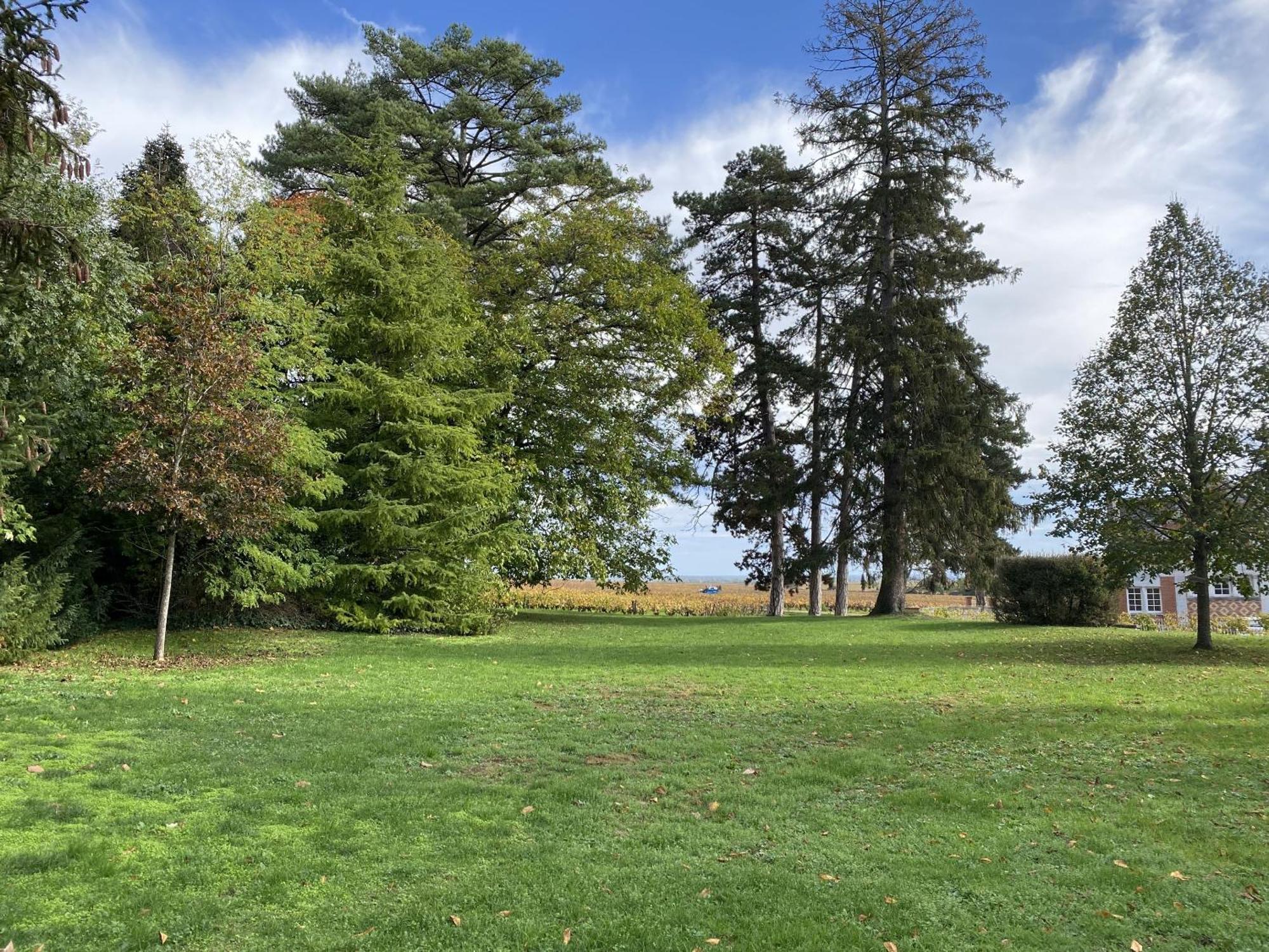 Manoir De Villamont Savigny-lès-Beaune Buitenkant foto